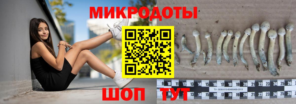 Псилоцибиновые грибы GOLDEN TEACHER Россия